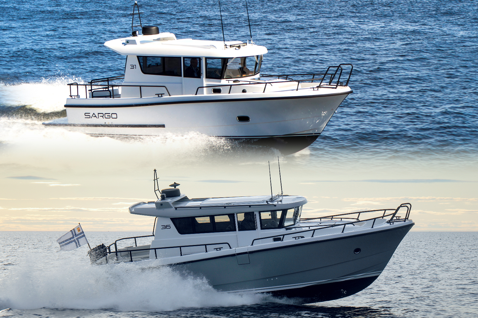 Sargo 31, 36 NEWS