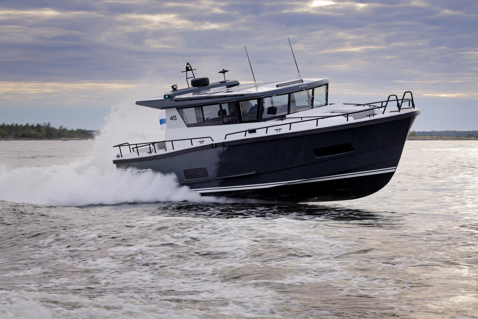 Sargo 45